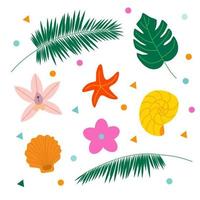 ensemble d'éléments d'été, monstera, palmier, coquille, étoile de mer, fleurs. vierge pour les cartes postales et les bannières. illustration vectorielle plane. vecteur