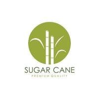 Naturel sucré sucre canne plante logo modèle. vecteur