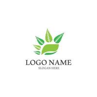 logos de l'écologie des feuilles d'arbre vert vecteur