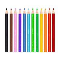 illustration de coloré crayon vecteur