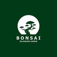 bonsaï arbre plante vecteur logo illustration