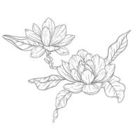 floral ligne art. magnolia fleur contour pour floral coloration pages, minimaliste moderne mariage invitations vecteur