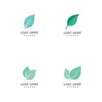 modèles de logo nature feuille vecteur