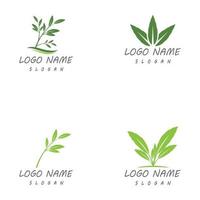 modèles de logo nature feuille vecteur