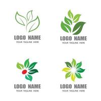 modèles de logo nature feuille vecteur