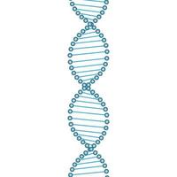 abstrait ADN brin symbole. vecteur