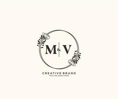 initiale mv des lettres main tiré féminin et floral botanique logo adapté pour spa salon peau cheveux beauté boutique et cosmétique entreprise. vecteur