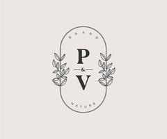 initiale pv des lettres magnifique floral féminin modifiable premade monoline logo adapté pour spa salon peau cheveux beauté boutique et cosmétique entreprise. vecteur