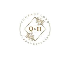 initiale qh des lettres magnifique floral féminin modifiable premade monoline logo adapté pour spa salon peau cheveux beauté boutique et cosmétique entreprise. vecteur