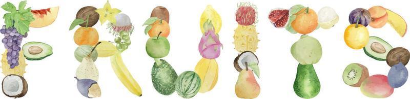 fond aquarelle avec lettrage fruits sur fond blanc, mise en page plate. concept d'alimentation saine, arrière-plan alimentaire. cadre de fruits vecteur