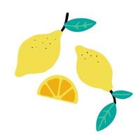 citrons isolé sur blanc Contexte. plat dessin animé vecteur illustration