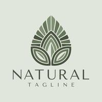 luxe Naturel feuille l'eau logo conception. élégance feuille gouttelette lettre une logo marque. vecteur