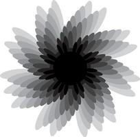 mandalas sur monochrome vecteur