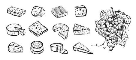 fromage collection. main tiré illustration vecteur