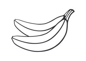 contour griffonnage de deux bananes vecteur