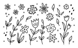 ensemble de mignonne printemps fleurs et branches isolé sur blanc Contexte. vecteur dessiné à la main illustration dans griffonnage style. parfait pour cartes, décorations, divers conceptions. dessin animé botanique éléments.