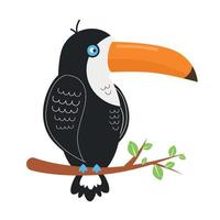 toucan oiseau illustration. toucan est assis sur une branche avec feuilles vecteur