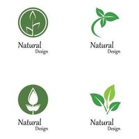 modèle de logo feuille nature verte vecteur