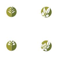 modèles de logo de feuilles d'eucalyptus vecteur