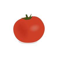 grosse tomate fraîche rouge mûre vecteur