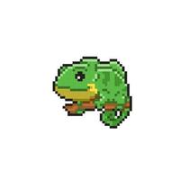 caméléon dans pixel art style vecteur