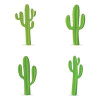 ensemble de cactus vert. illustration vectorielle vecteur