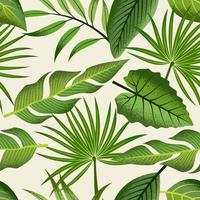 motif tropical sans soudure avec de belles feuilles sur fond clair. vecteur