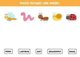 correspondent aux insectes mignons et à leurs noms. jeu pour les enfants. vecteur