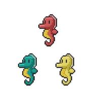 mer cheval avec différent Couleur dans pixel art style vecteur