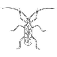 illustration de livre de coloriage linéaire alpin barbel beetle vecteur