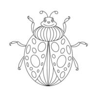 illustration de livre de coloriage linéaire coccinelle vecteur