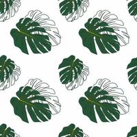 vert monstera feuilles sans couture modèle sur blanc Contexte. vecteur