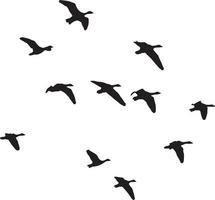 silhouettes de des oiseaux en volant . troupeau de en volant des oiseaux silhouette vecteur