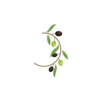 illustration vectorielle d'olive logo icône vecteur