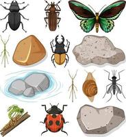 différents types d'insectes avec des éléments de la nature vecteur