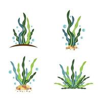 illustration d'images de logo d'algues vecteur