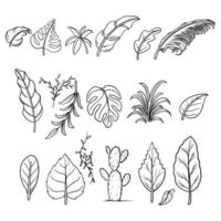 feuilles dessinées à la main de plantes tropicales. collection de feuilles botaniques avec différents modèles isolés sur fond blanc. conception de modèle pour mariage, enveloppe, Saint-Valentin, fête, décor de vacances. vecteur