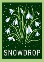 perce-neige. main tiré printemps fleurs pour impressions, affiches, cartes, bannières vecteur