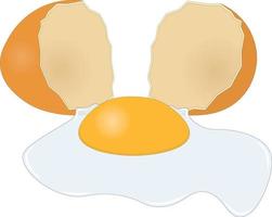 cassé poule Oeuf avec Oeuf Jaune d'œuf et blanc vecteur illustration