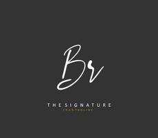 br initiale lettre écriture et Signature logo. une concept écriture initiale logo avec modèle élément. vecteur