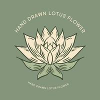 lotus main tiré illustrations, vecteur