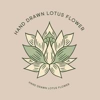 lotus main tiré illustrations, vecteur