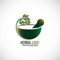 conception de modèle de logo à base de plantes vecteur