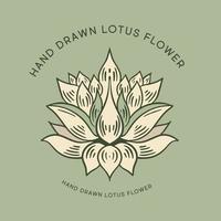 lotus main tiré illustrations, vecteur