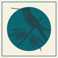 oiseau ornemental illustration affiche, colibri bleu carte postale. colibri dans gravure style pour décoration, imprimer, intérieur conception. vecteur réaliste illustration.