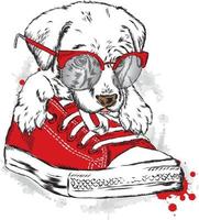 un beau chien dans une chaussure de sport rouge. branché.