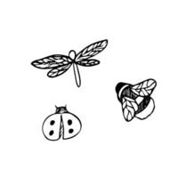 insecte collection. libellule. coccinelle. bourdon. vecteur. tiré par main. silhouette. noir et blanc contour. vecteur