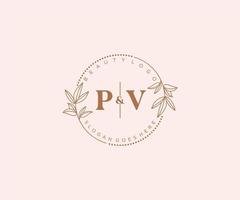 initiale pv des lettres magnifique floral féminin modifiable premade monoline logo adapté pour spa salon peau cheveux beauté boutique et cosmétique entreprise. vecteur