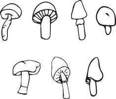 ensemble champignons ligne art. vecteur illustration de champignons.