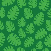 motif de feuilles de monstera vecteur